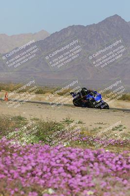 media/Feb-04-2023-SoCal Trackdays (Sat) [[8a776bf2c3]]/Turn 15 Inside Blooming (1050am)/